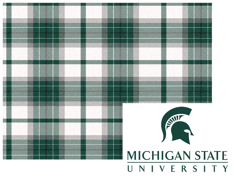 MSU