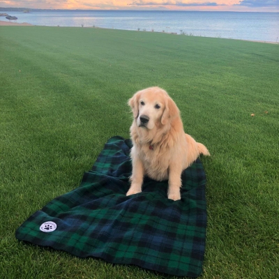 Barkingtosh pet tartan blankets Black Watch Tartan Dog Blanket large/Xlarge